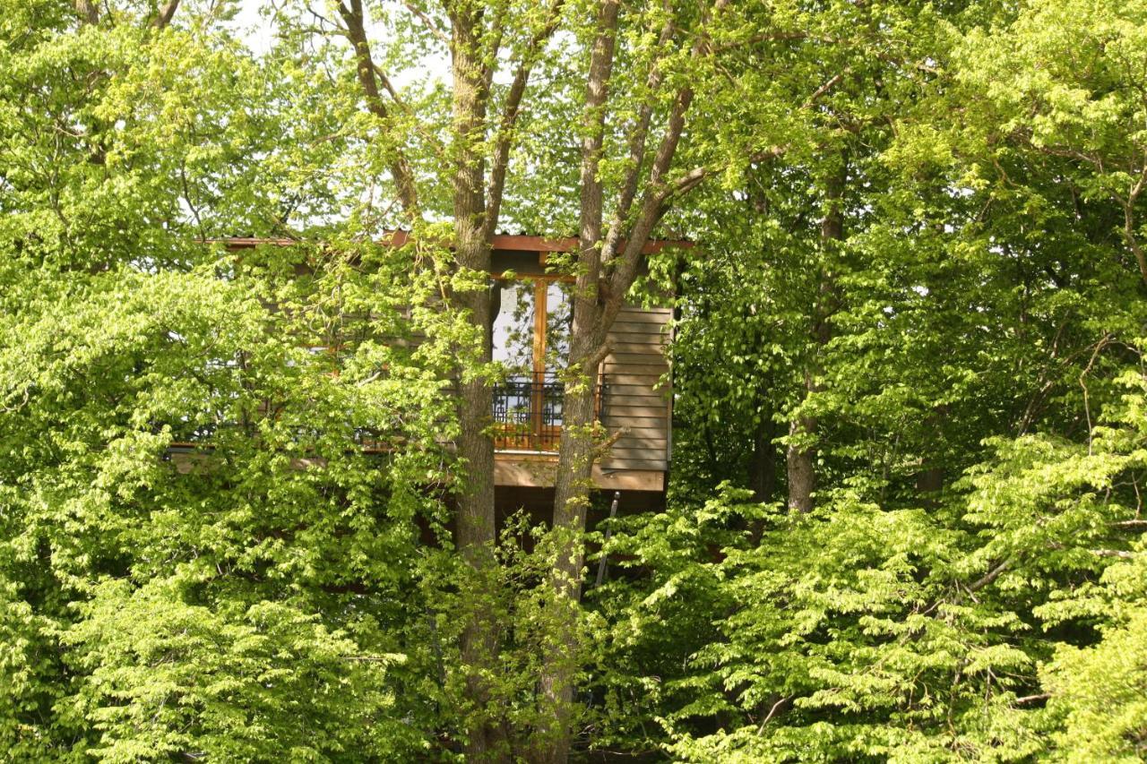 Vila Baumhaus Auf Dem Kellerberg Fischach Exteriér fotografie