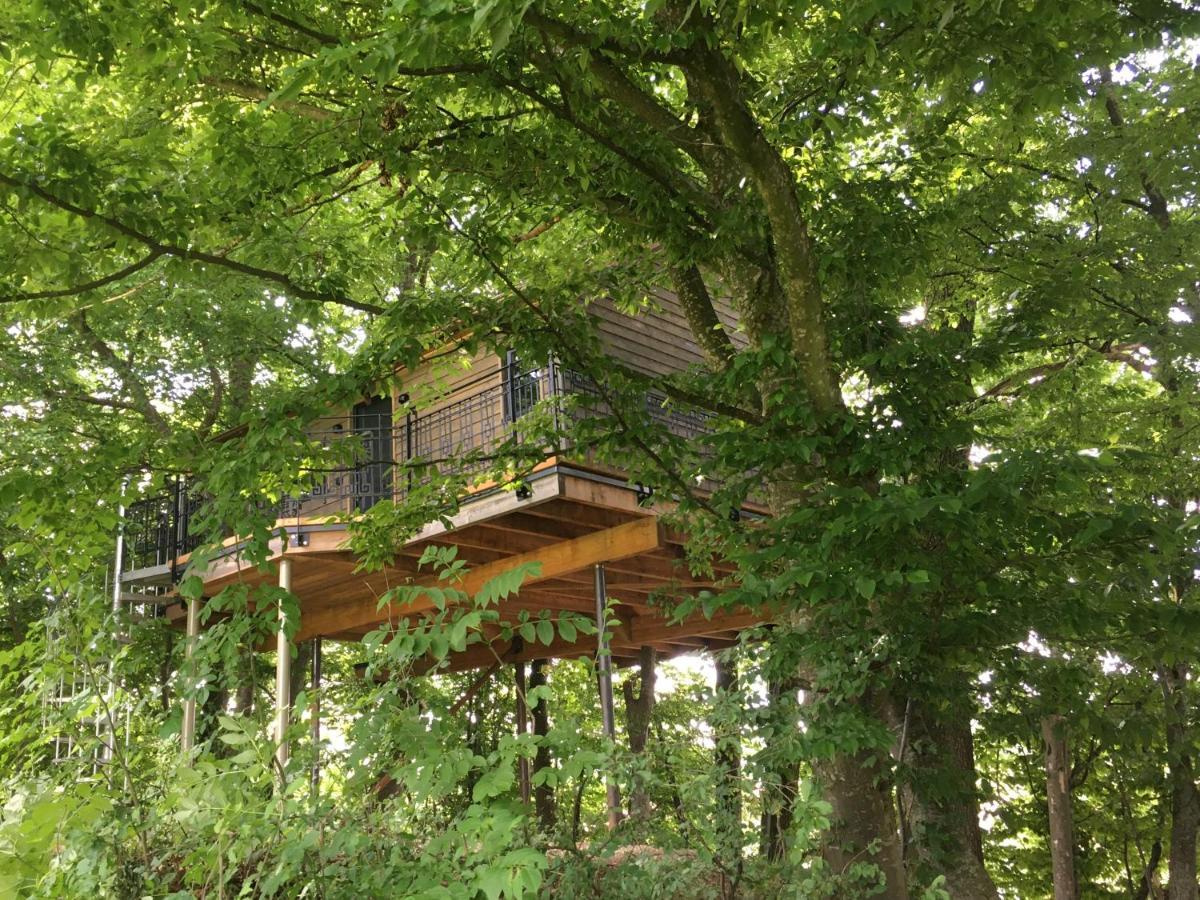 Vila Baumhaus Auf Dem Kellerberg Fischach Exteriér fotografie